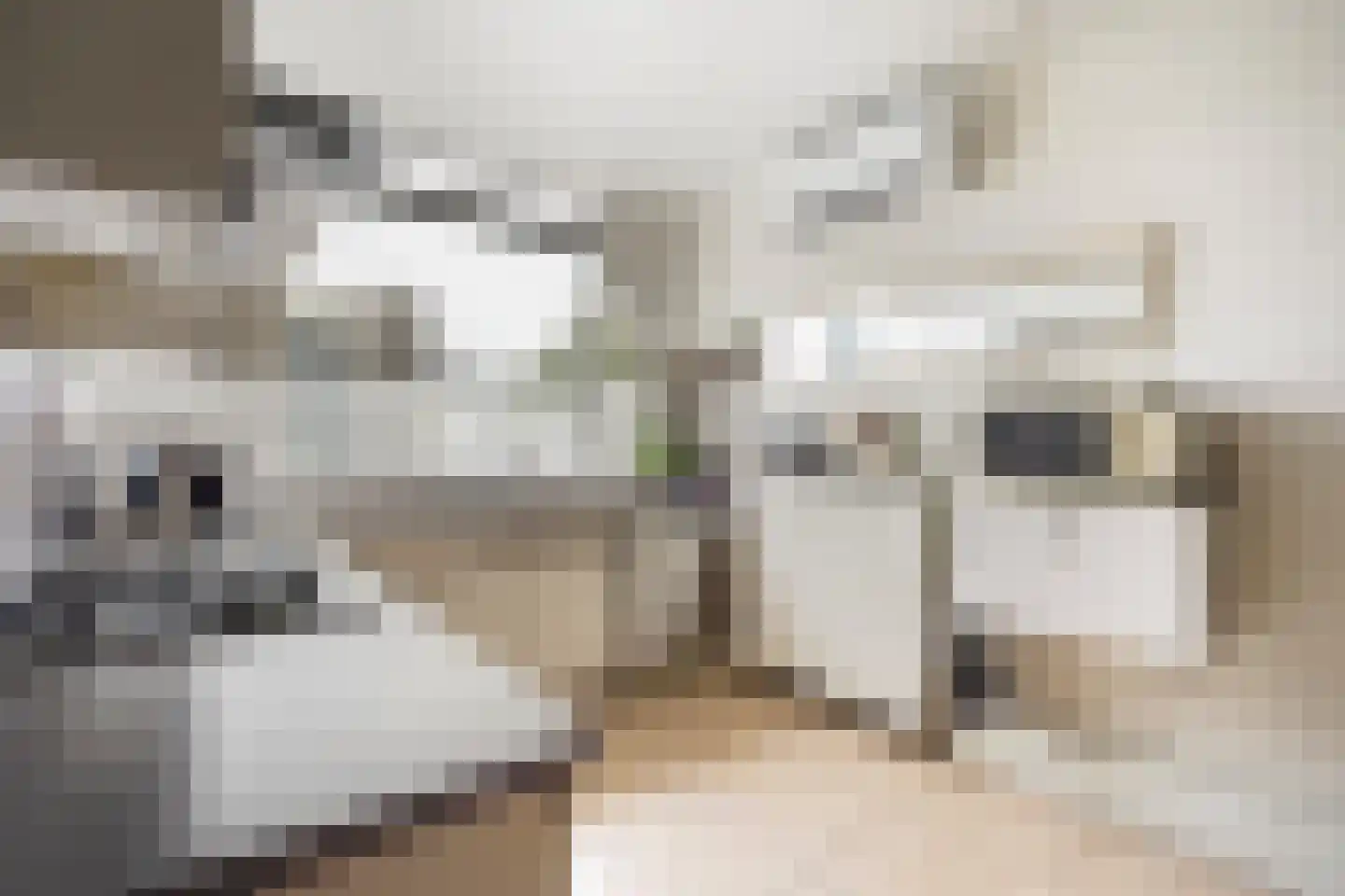 Zandberg 10 Zoetermeer thumbnail 19