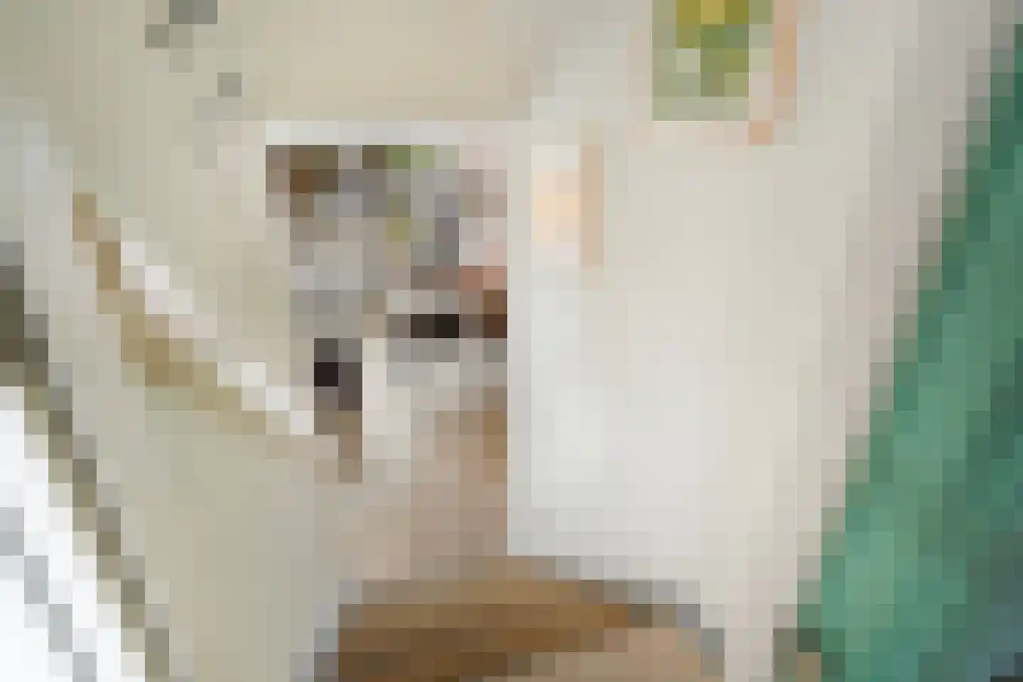 Zandberg 10 Zoetermeer thumbnail 20