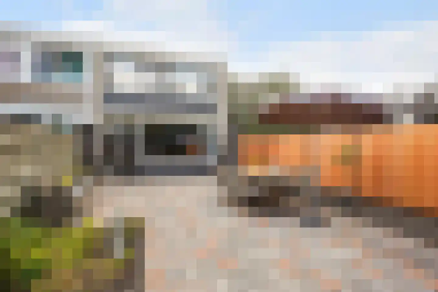 Zandberg 10 Zoetermeer thumbnail 29