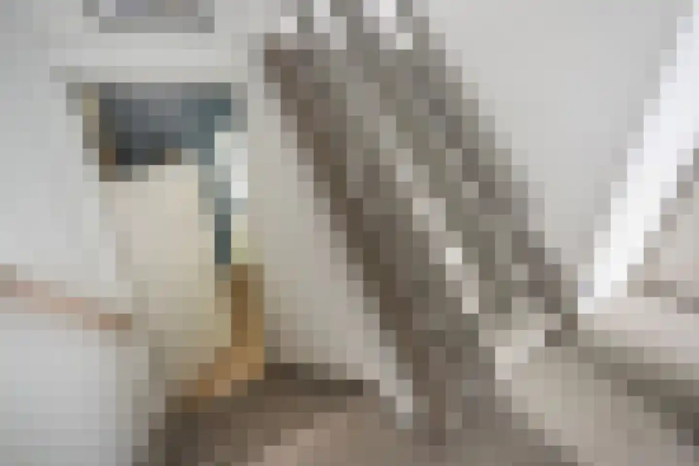 Zandberg 10 Zoetermeer thumbnail 31