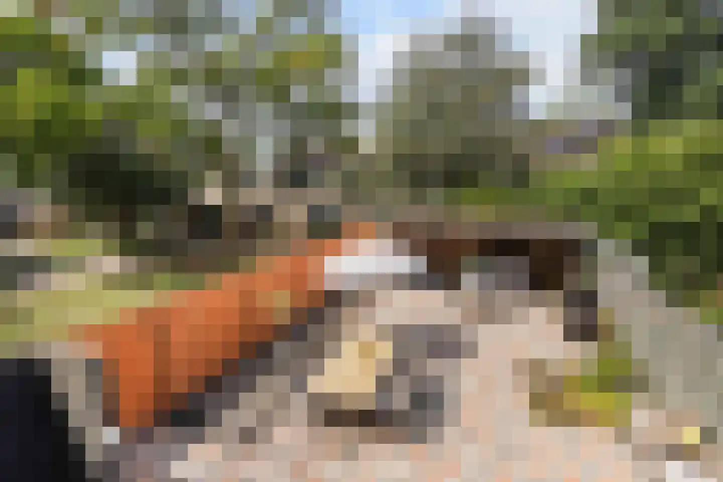 Zandberg 10 Zoetermeer thumbnail 38