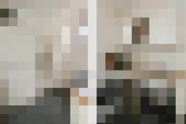Zandberg 11 Maasbree thumbnail 14