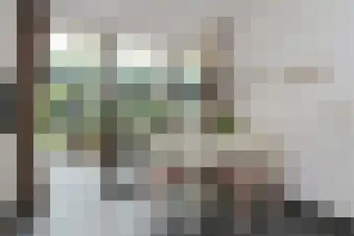 Zandberg 11 Maasbree thumbnail 15