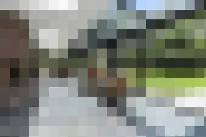 Zandberg 11 Maasbree thumbnail 16
