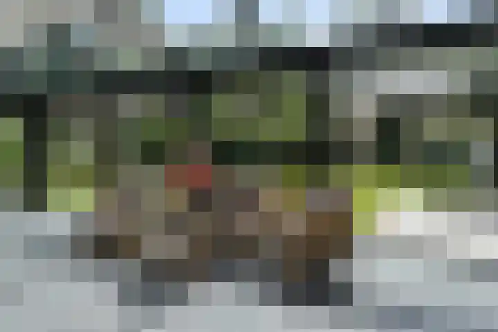 Zandberg 11 Maasbree thumbnail 17