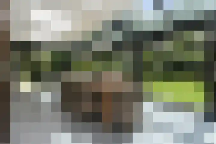 Zandberg 11 Maasbree thumbnail 19