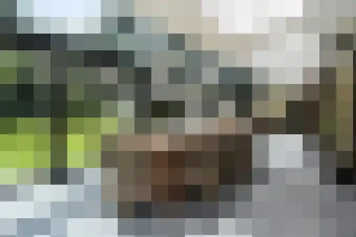 Zandberg 11 Maasbree thumbnail 20
