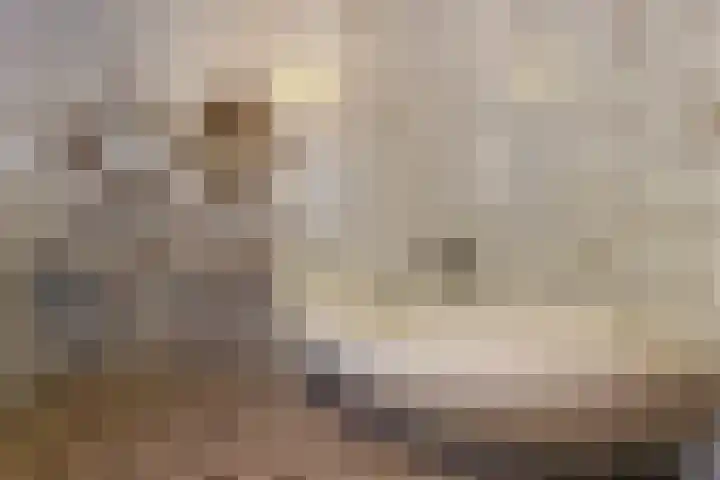 Zandberg 11 Maasbree thumbnail 21