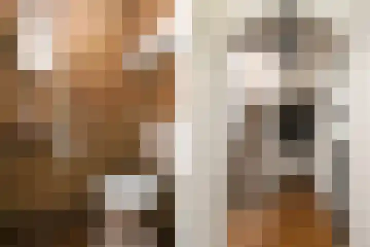 Zandberg 11 Maasbree thumbnail 23