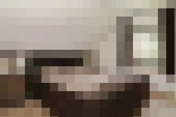 Zandberg 11 Maasbree thumbnail 24