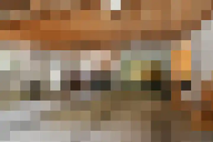 Zandberg 11 Maasbree thumbnail 30