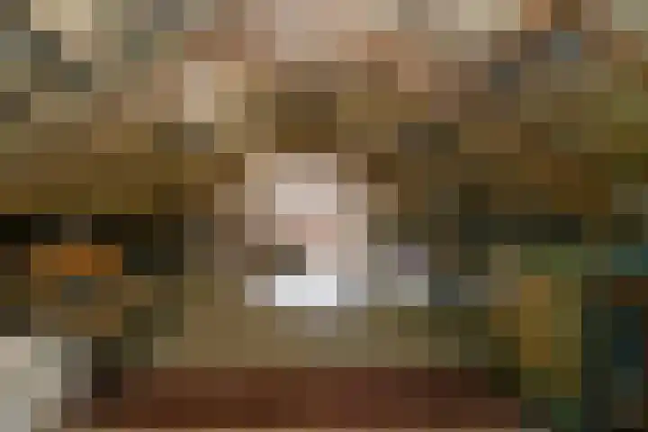 Zandberg 11 Maasbree thumbnail 31