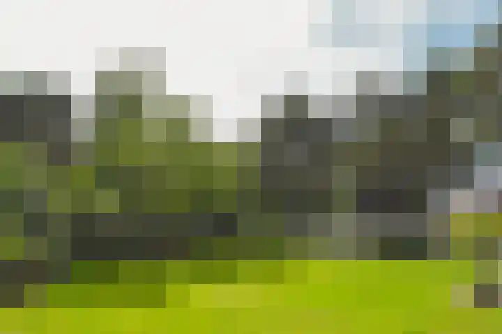 Zandberg 11 Maasbree thumbnail 36
