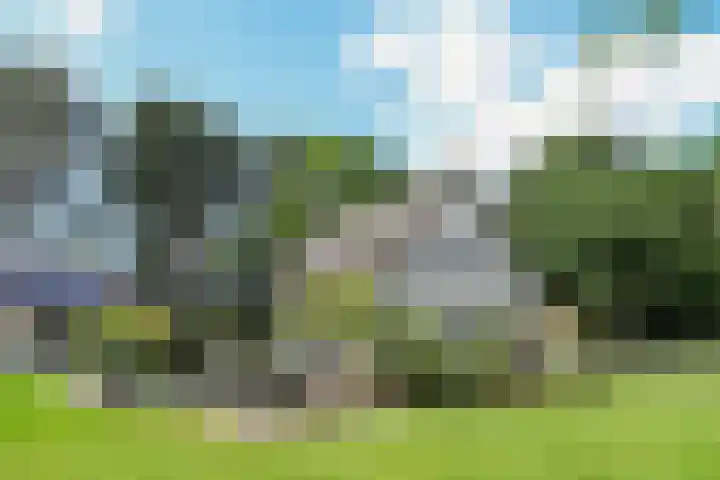 Zandberg 11 Maasbree thumbnail 37