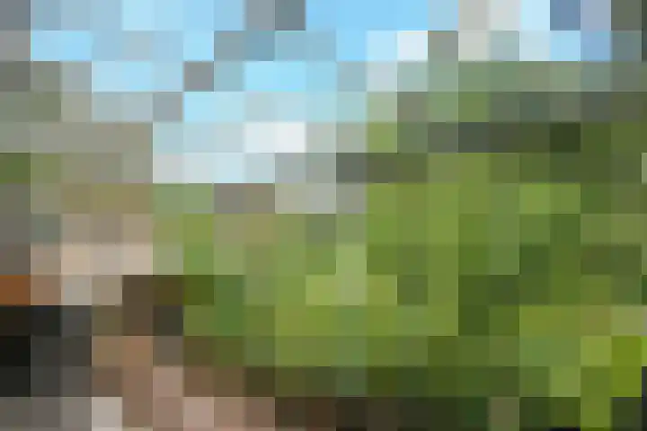 Zandberg 11 Maasbree thumbnail 38