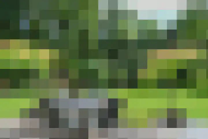 Zandberg 11 Maasbree thumbnail 39