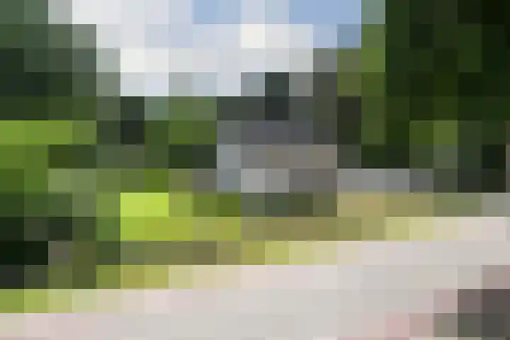 Zandberg 11 Maasbree thumbnail 4
