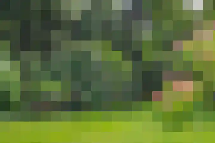 Zandberg 11 Maasbree thumbnail 40