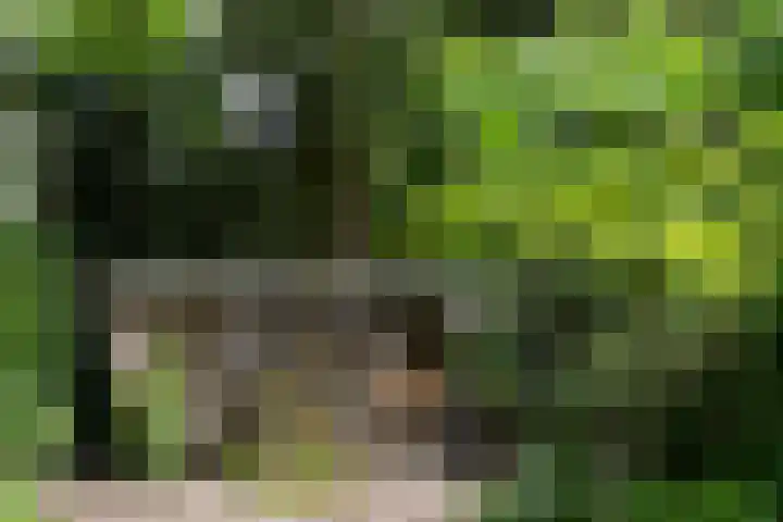 Zandberg 11 Maasbree thumbnail 41