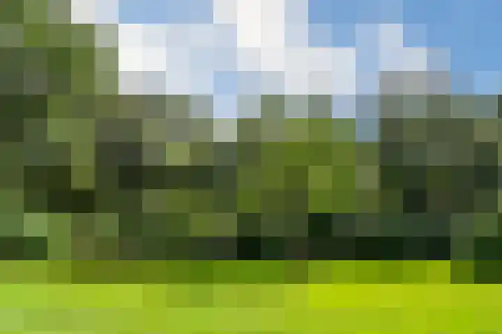Zandberg 11 Maasbree thumbnail 42