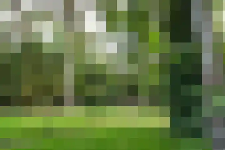 Zandberg 11 Maasbree thumbnail 45
