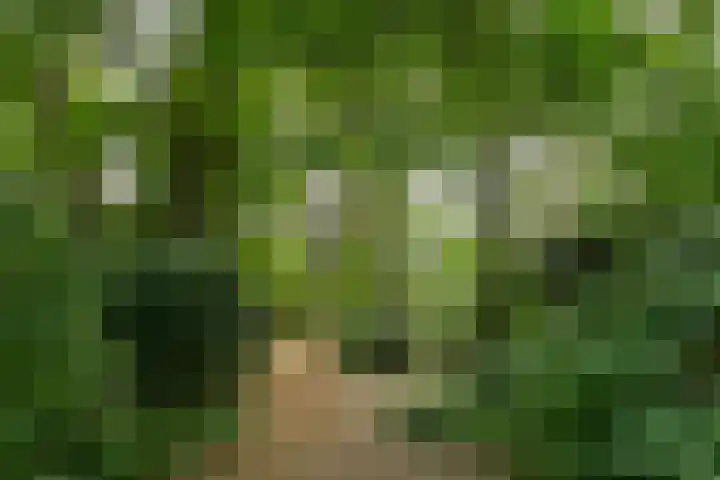 Zandberg 11 Maasbree thumbnail 46
