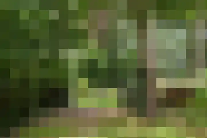 Zandberg 11 Maasbree thumbnail 48