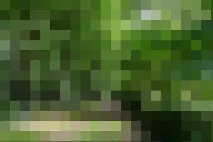 Zandberg 11 Maasbree thumbnail 49