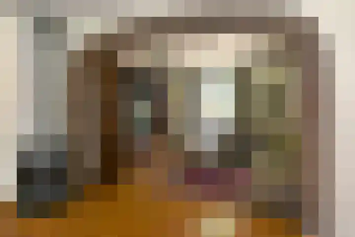 Zandberg 11 Maasbree thumbnail 5