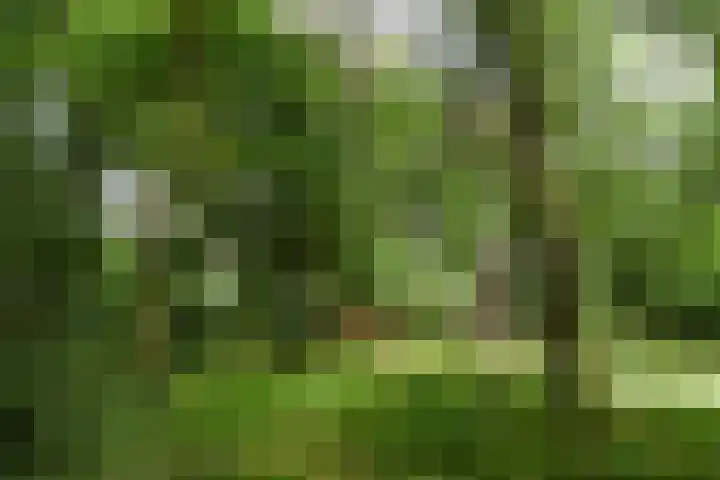 Zandberg 11 Maasbree thumbnail 52