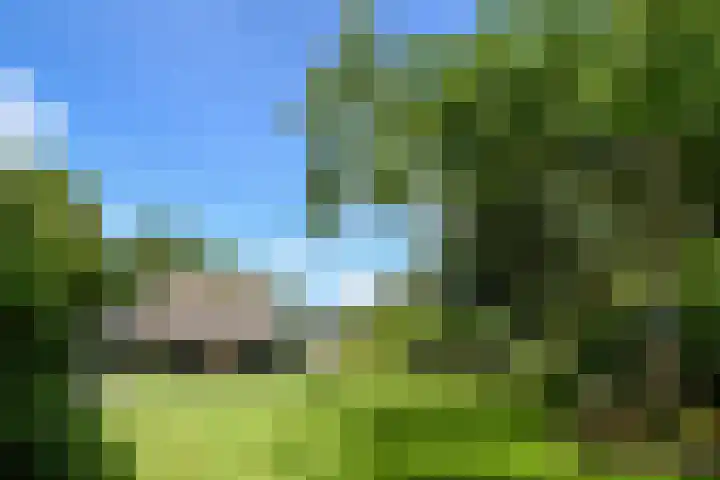 Zandberg 11 Maasbree thumbnail 53