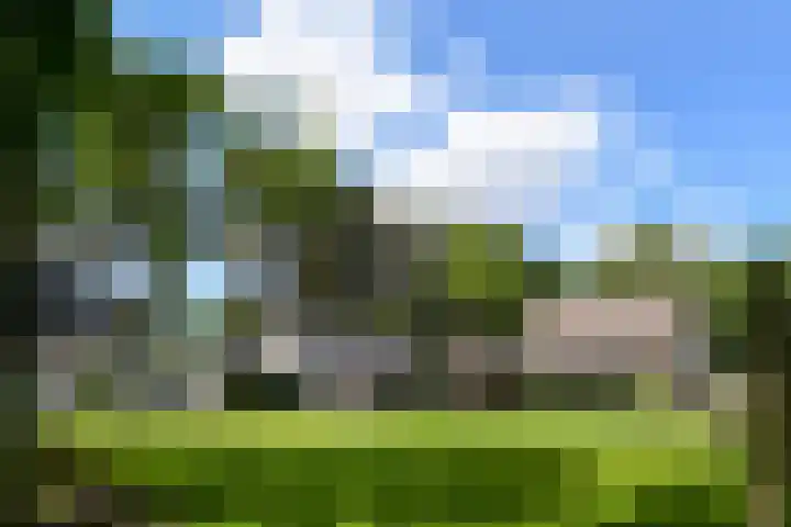 Zandberg 11 Maasbree thumbnail 54