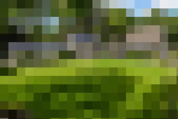 Zandberg 11 Maasbree thumbnail 55