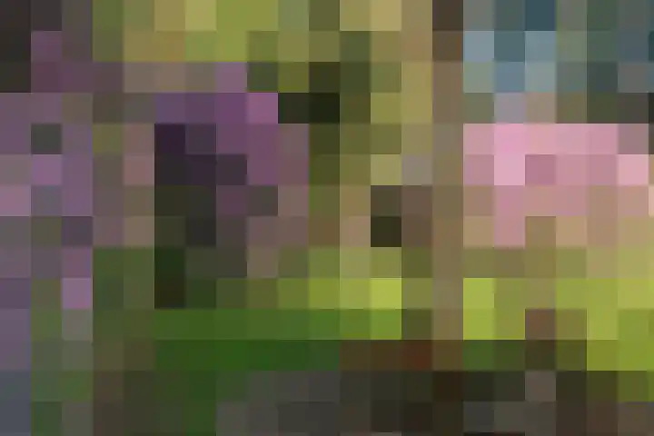Zandberg 11 Maasbree thumbnail 57