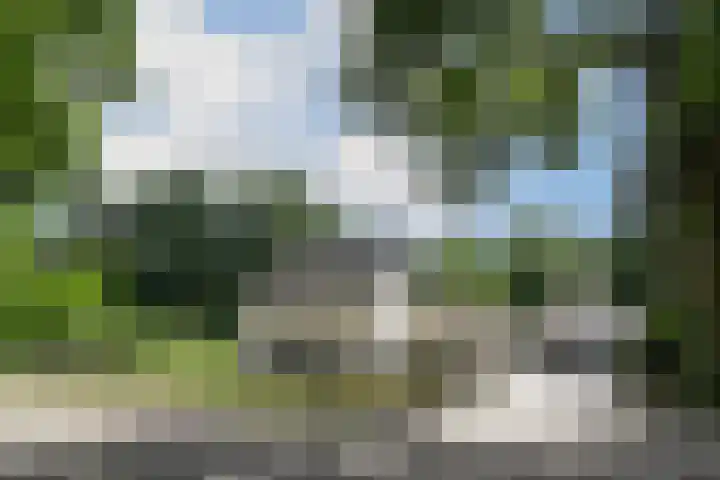 Zandberg 11 Maasbree thumbnail 63
