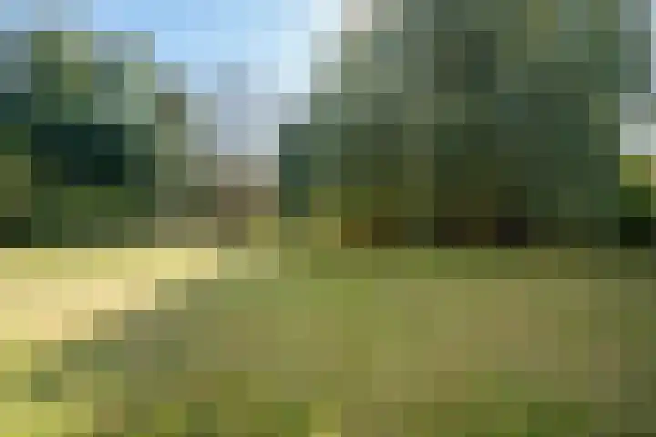 Zandberg 17 Ter Apelkanaal thumbnail 35