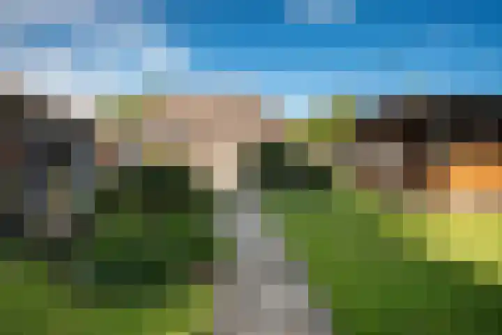 Zandberg 17 Ter Apelkanaal thumbnail 37