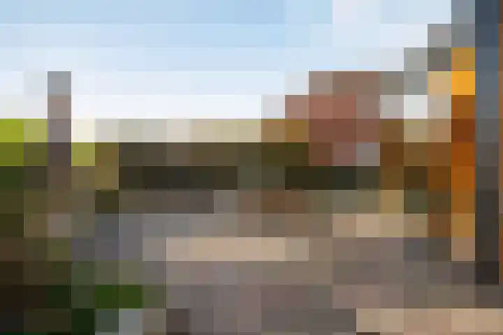 Zandberg 17 Ter Apelkanaal thumbnail 39
