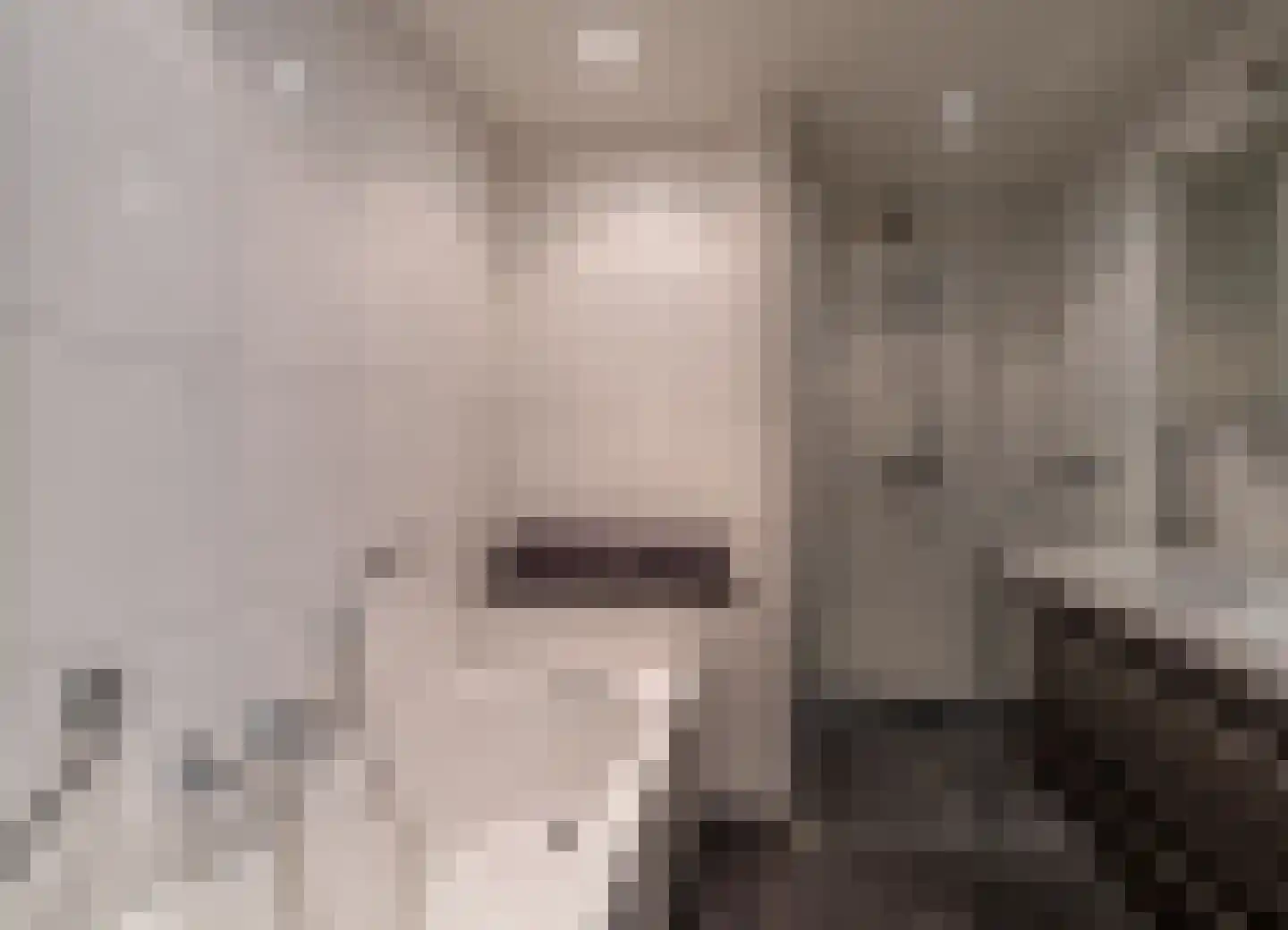 Zandberg 19 Maasbree thumbnail 14