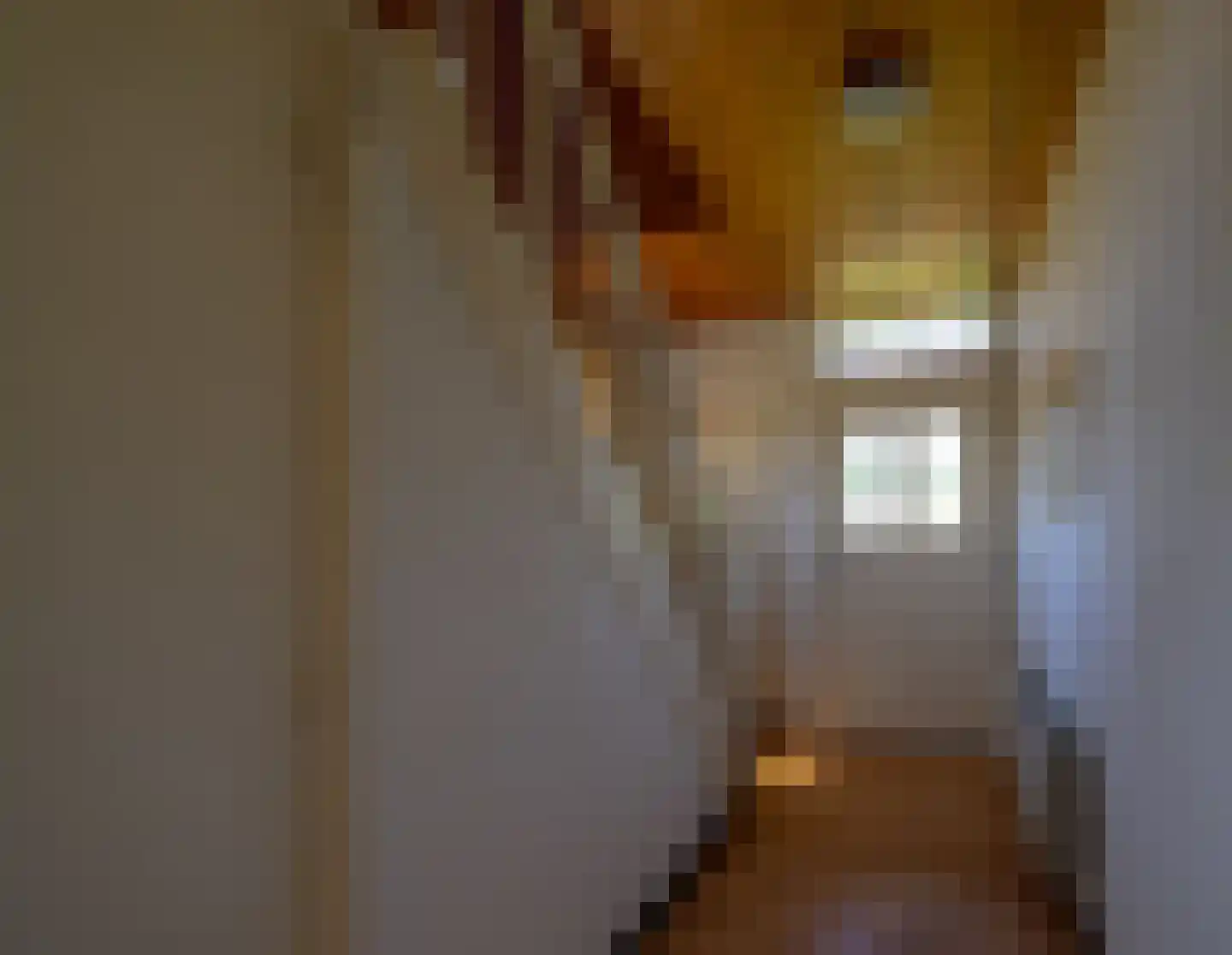 Zandberg 19 Maasbree thumbnail 20