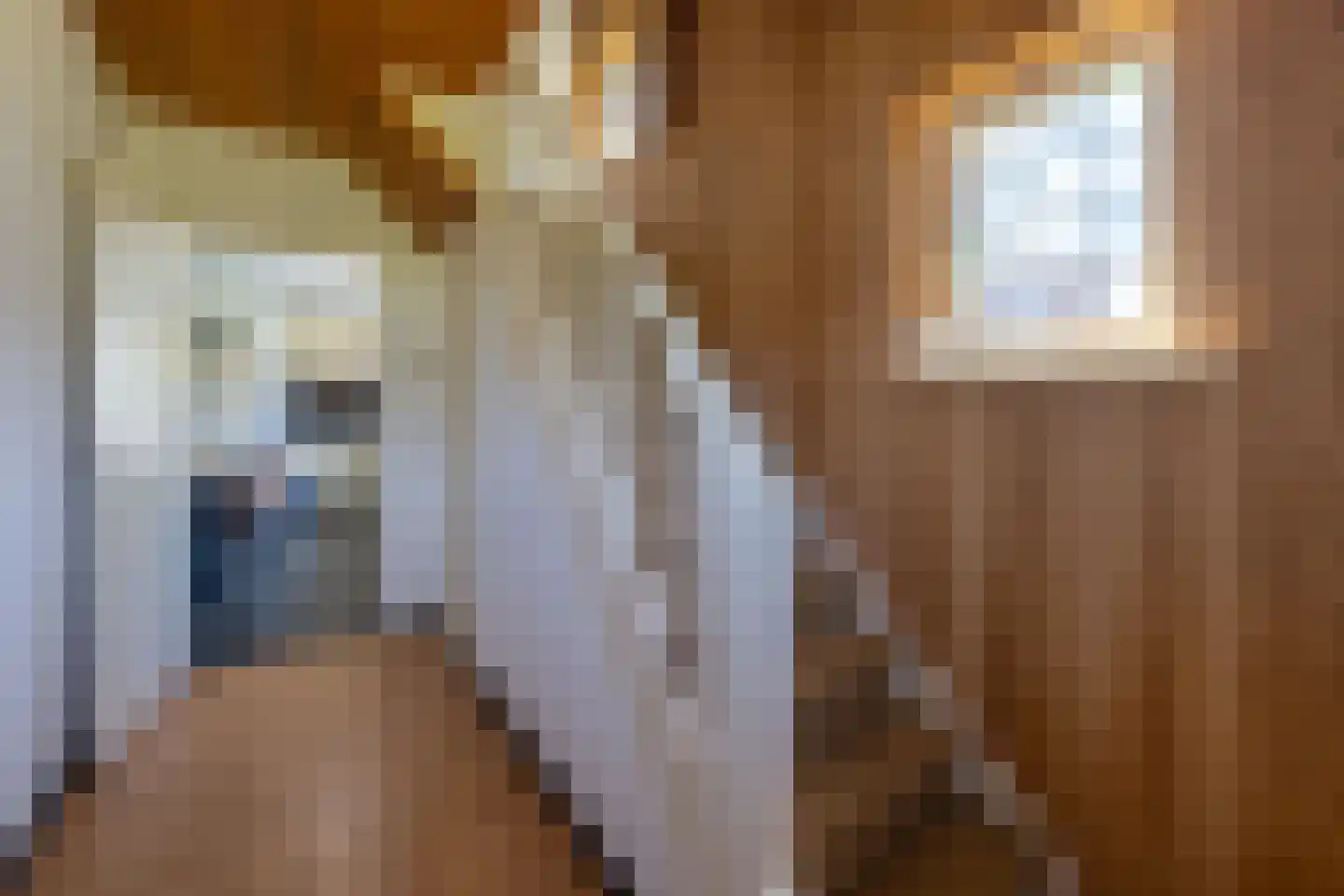 Zandberg 19 Maasbree thumbnail 21