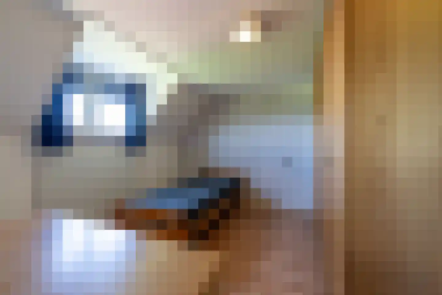 Zandberg 19 Maasbree thumbnail 27