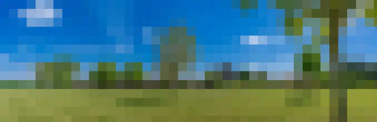 Zandberg 19 Maasbree thumbnail 32