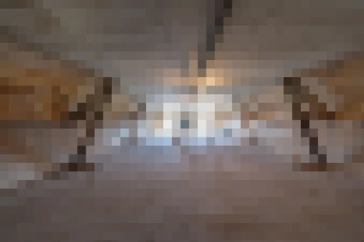Zandberg 19 Maasbree thumbnail 40