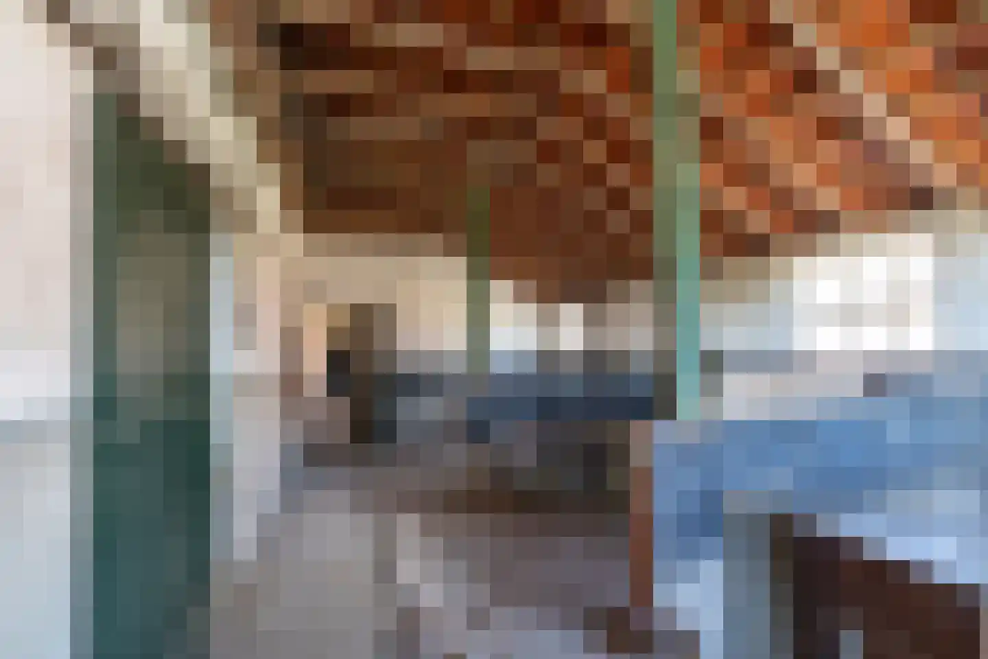Zandberg 19 Maasbree thumbnail 44