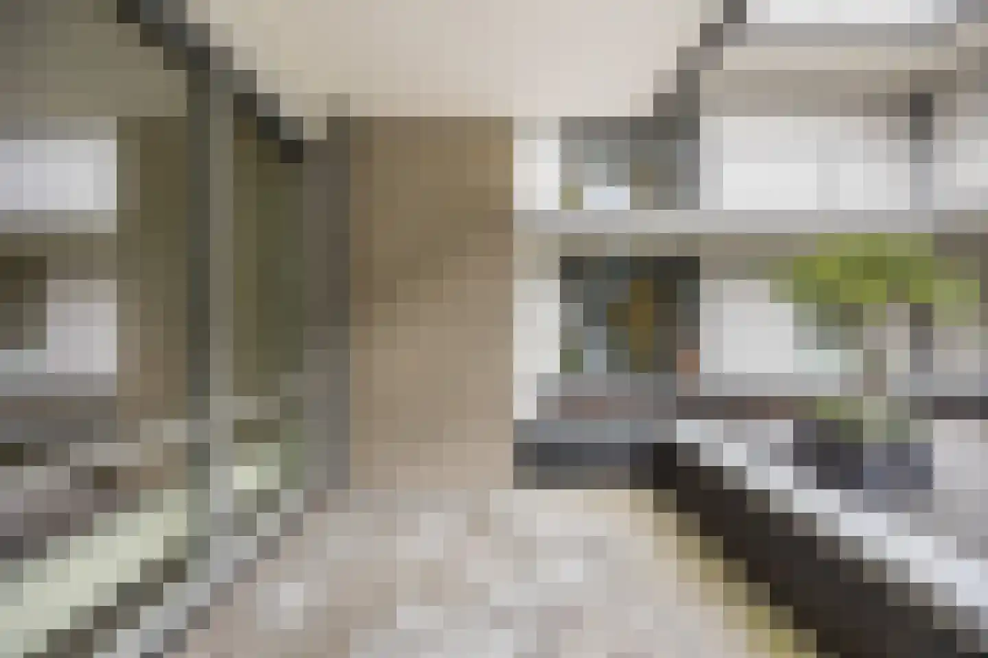 Zandberg 22 Zevenbergen thumbnail 31