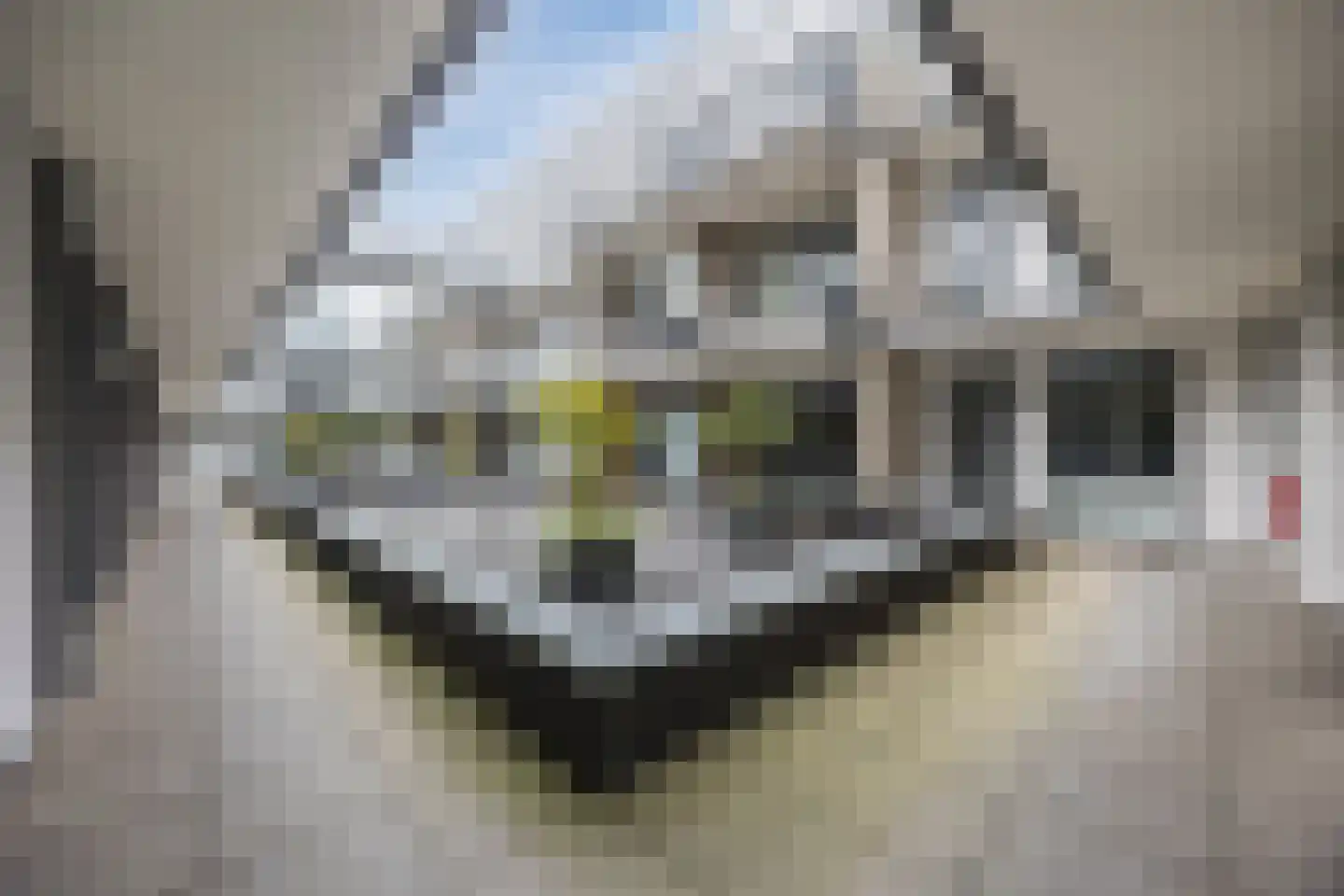 Zandberg 22 Zevenbergen thumbnail 33