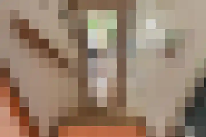 Zandberg 29 Zoetermeer thumbnail 10
