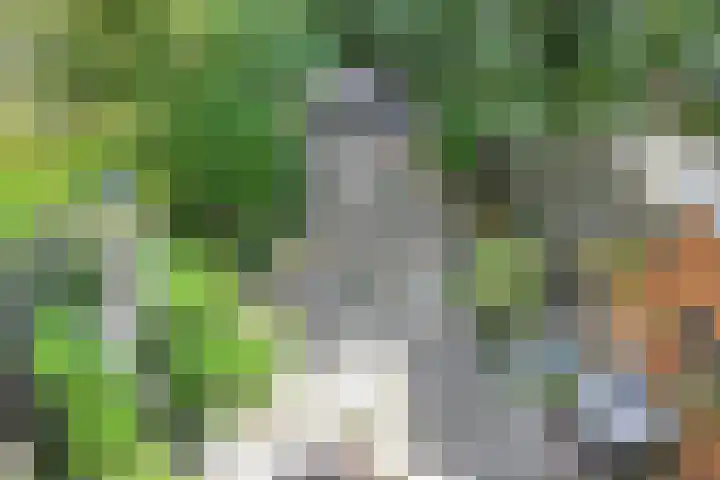 Zandberg 29 Zoetermeer thumbnail 42