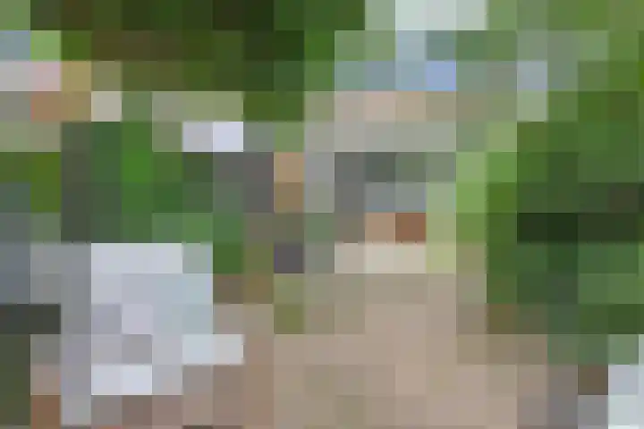 Zandberg 29 Zoetermeer thumbnail 47